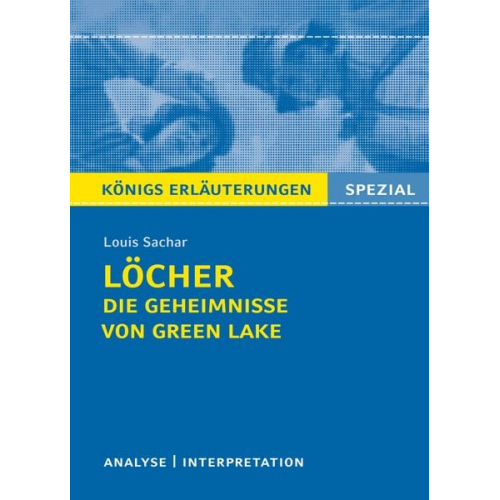 Louis Sachar - Löcher