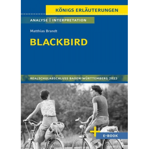 Sabine Hasenbach - Brandt, M: Blackbird - Textanalyse und Interpretation