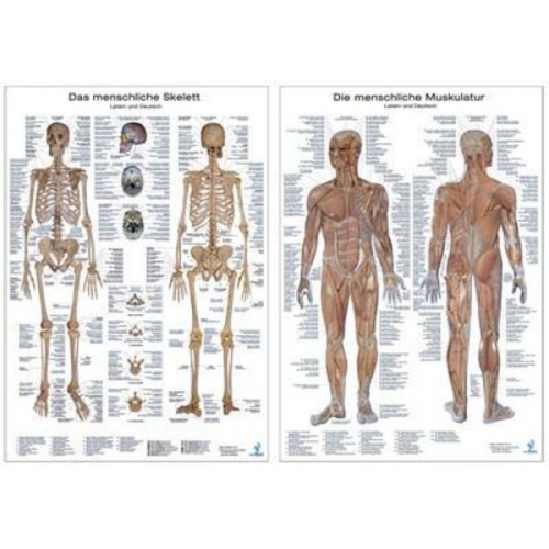 Anatomie-Lehrtafeln/Doppelpack
