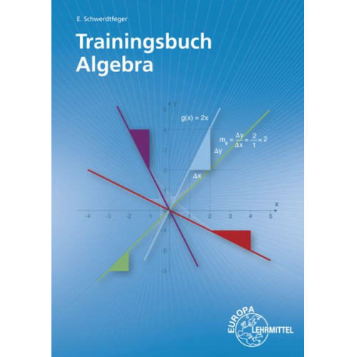 Eugen Schwerdtfeger - Schwerdtfeger, E: Trainingsbuch Algebra