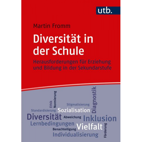 Martin Fromm - Diversität in der Schule