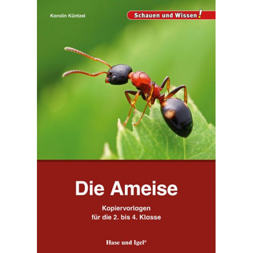 Karolin Küntzel - Die Ameise - Kopiervorlagen für die 2. bis 4. Klasse