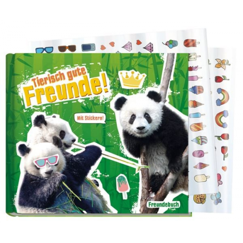 Lernfreunde Tierisch gute Freunde [Panda]