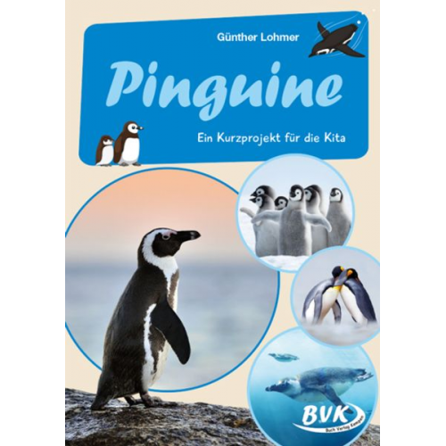 Günther Lohmer - Pinguine