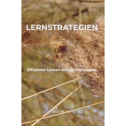 Klaus de Jong - Lernstrategien