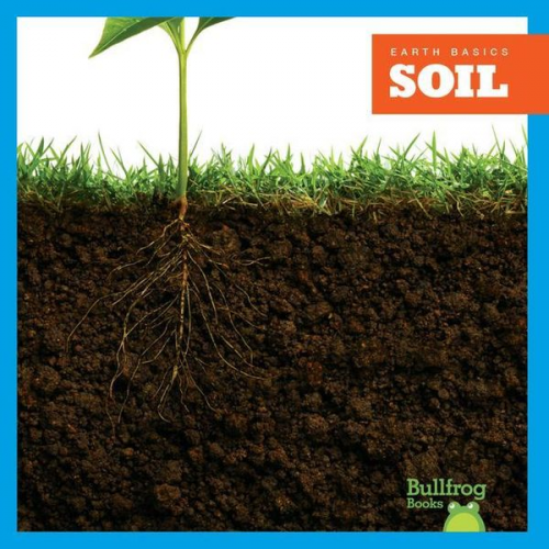 Rebecca Pettiford - Soil