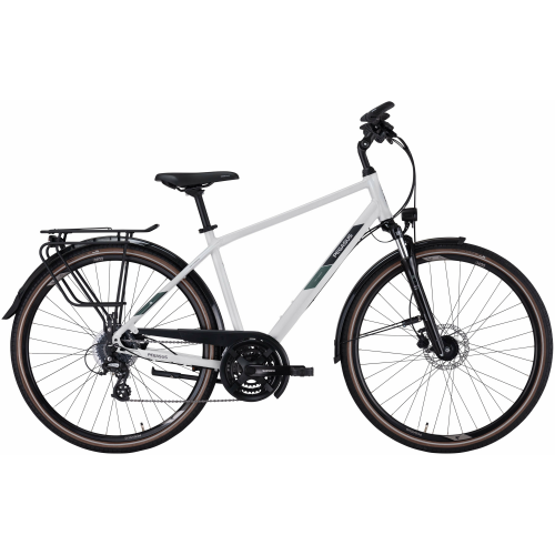 Pegasus Solero SL Disc 24, 24 Gang Kettenschaltung, Herrenfahrrad, Diamant, Modell 2024, 28 Zoll 50 cm light grey