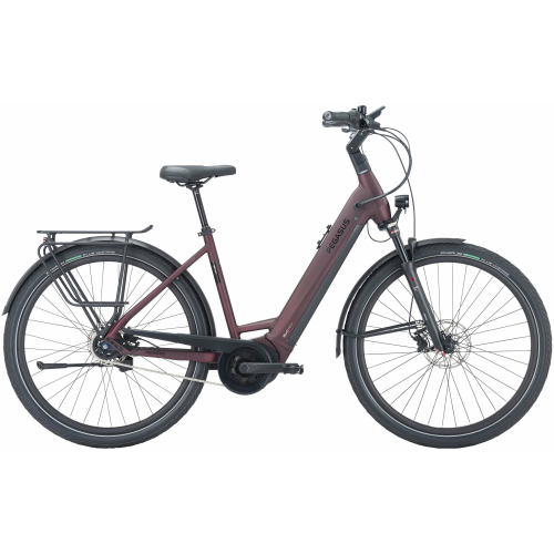 Pegasus Strong Evo 5R (625 Wh), 5 Gang Nabenschaltung, Damenfahrrad, Wave, Modell 2024, 28 Zoll 55 cm dark red matt