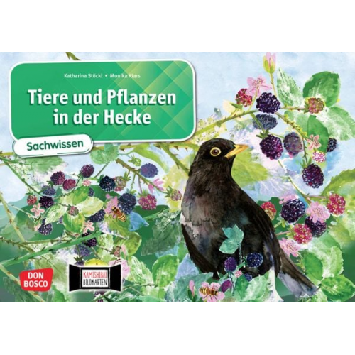 Katharina Stöckl-Bauer - Tiere und Pflanzen in der Hecke. Kamishibai Bildkartenset