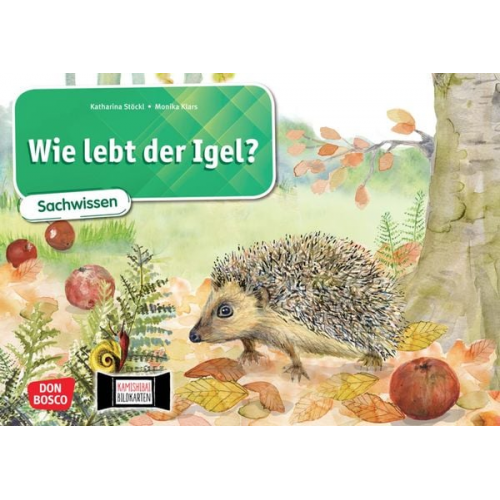 Katharina Stöckl-Bauer - Wie lebt der Igel? Kamishibai Bildkartenset.