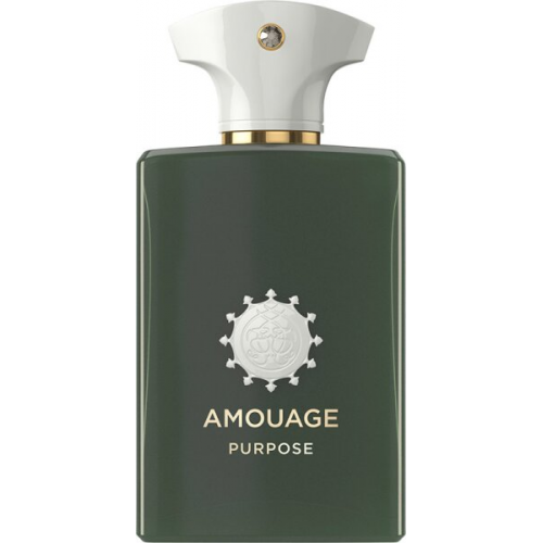 Amouage Purpose Eau de Parfum (EdP) 100 ml
