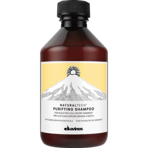 Davines Natural Tech Purifying Shampoo 250 ml