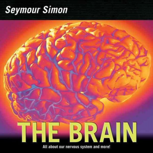 Seymour Simon - The Brain