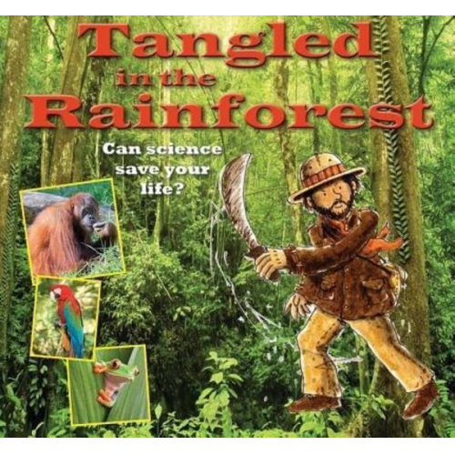 Gerry Bailey - Tangled in the Rainforest