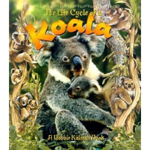 Bobbie Kalman - Koala