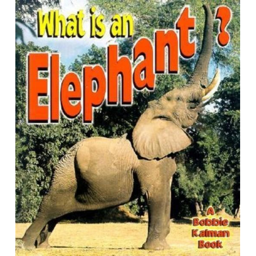 John Crossingham - What is an Elephant?