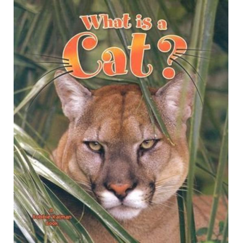 Amanda Bishop - What Is a Cat?