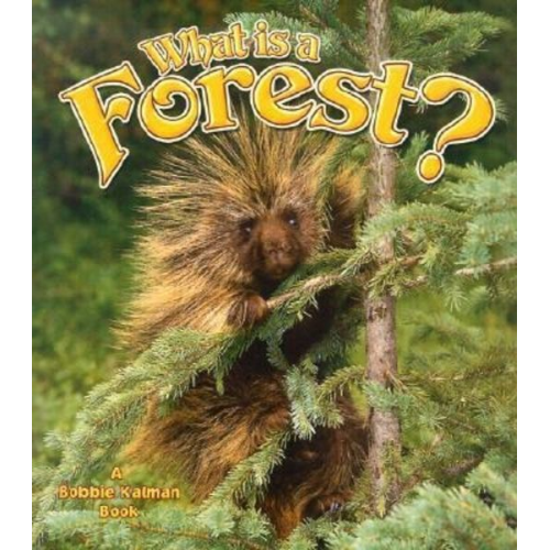 Bobbie Kalman - What Is a Forest?