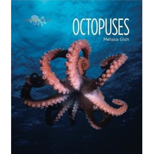 Melissa Gish - Octopuses