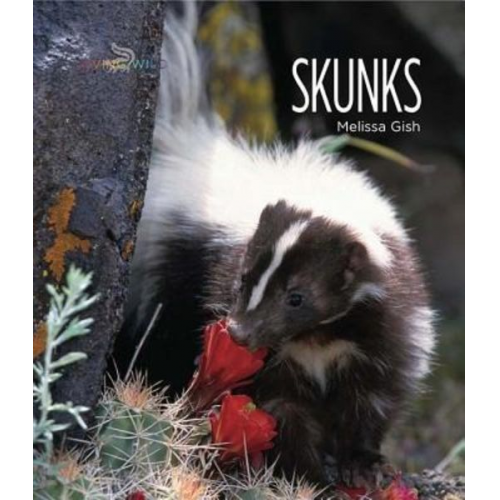 Melissa Gish - Skunks