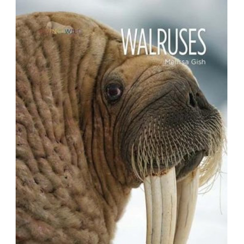 Melissa Gish - Walruses