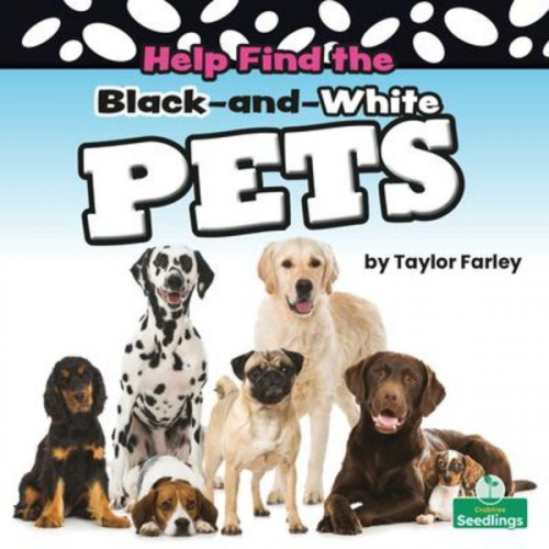 Taylor Farley - Help Find the Black-And-White Pets