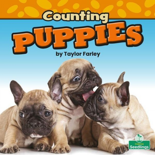 Taylor Farley - Counting Puppies