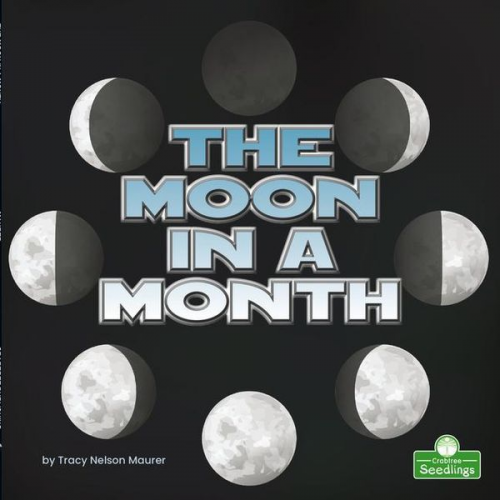 Tracy Nelson Maurer - The Moon in a Month