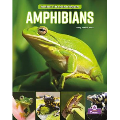 Tracy Vonder Brink - Amphibians