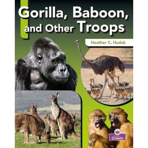 Heather C Hudak - Gorilla, Baboon, and Other Troops