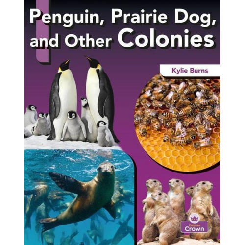 Kylie Burns - Penguin, Prairie Dog, and Other Colonies