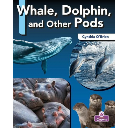 Cynthia O'Brien - Whale, Dolphin, and Other Pods