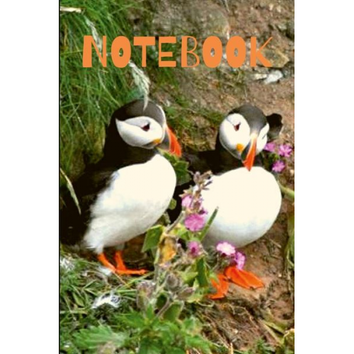 Toby Vance - Puffin Notebook