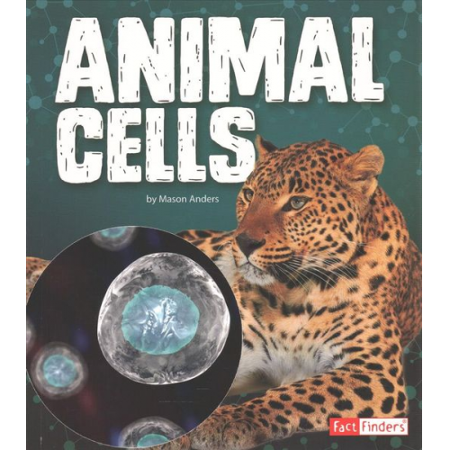 Mason Anders - Animal Cells