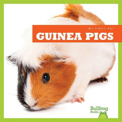 Cari Meister - Guinea Pigs