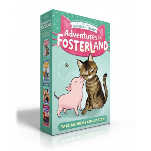 Hannah Shaw - Adventures in Fosterland Take Me Home Collection (Boxed Set)