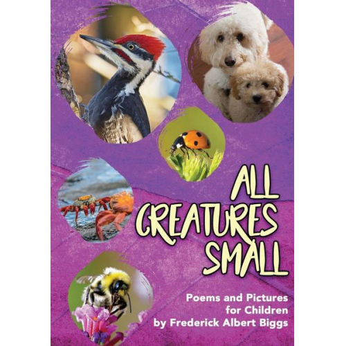 Frederick Albert Biggs - All Creatures Small