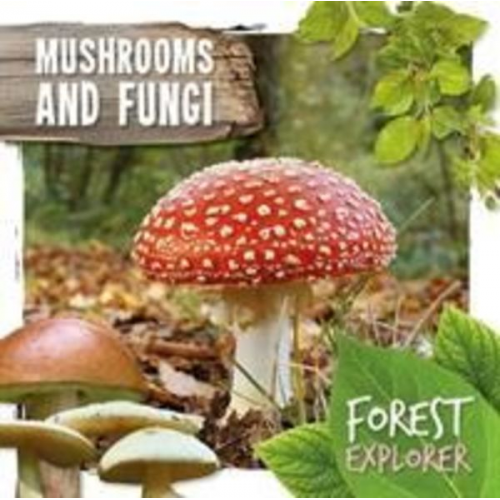 Robin Twiddy - Mushrooms & Fungi