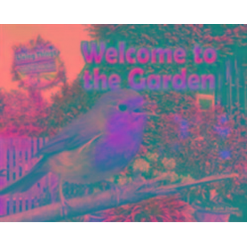 Ruth Owen - Welcome to the Garden