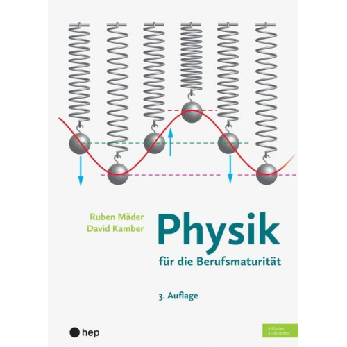 Ruben Mäder David Kamber - Physik für die Berufsmaturität (Print inkl. digitales Lehrmittel)