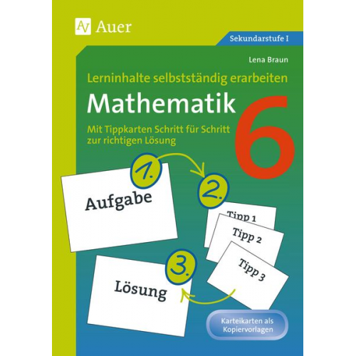 Lena Braun - Lerninhalte selbstständig erarbeiten Mathematik 6