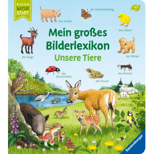 Susanne Gernhäuser - Mein großes Bilderlexikon: Unsere Tiere