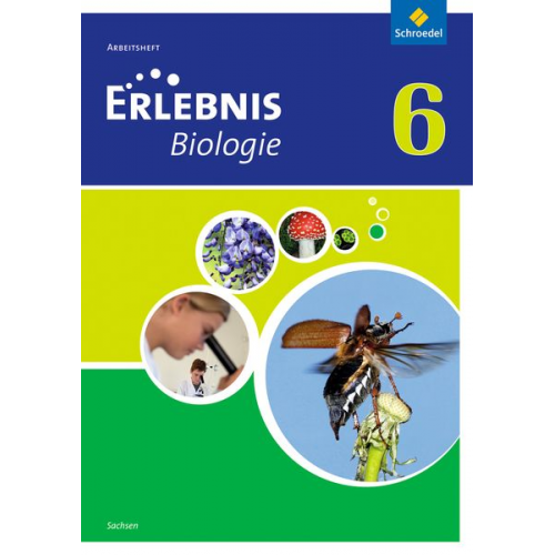 Erlebnis Biologie 6. Arbeitsheft. Sachsen