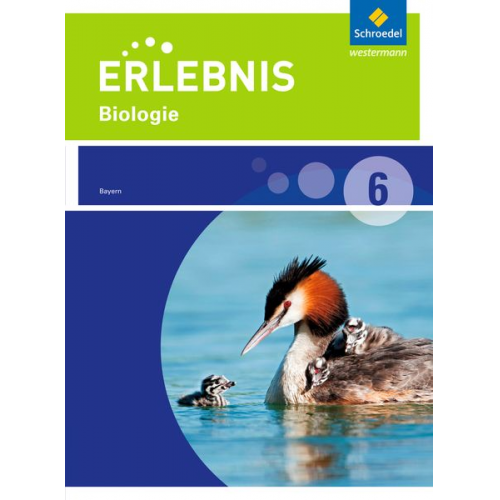 Erlebnis Biologie 6. Schulbuch. Realschule. Bayern