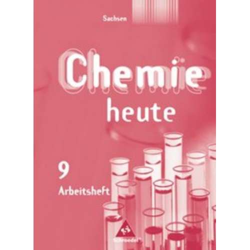 Rosemarie Förster Dieter Matthe Brigitta Rieck Claas Riedel - Chemie heute SI - Ausgabe 2004 für Sachsen/Arbeitsheft 9