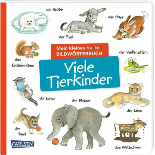 Mein kleines buntes Bildwörterbuch: Viele Tierkinder