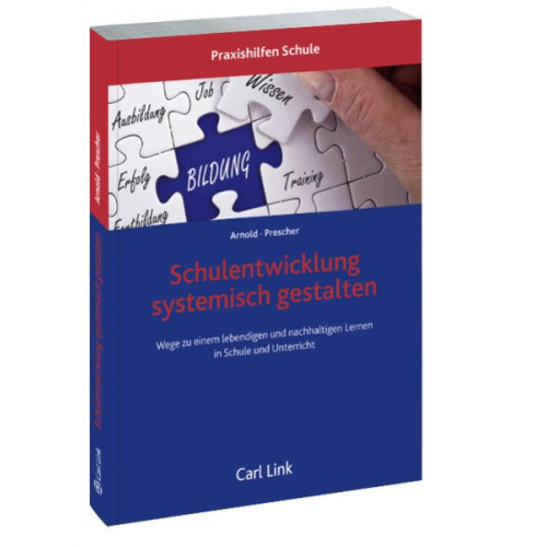 Schulentwicklung systemisch gestalten