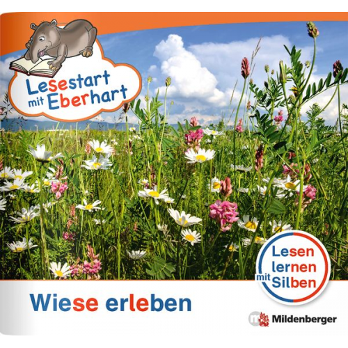 Stefanie Drecktrah - Drecktrah, S: Lesestart mit Eberhart/ Wiese erleben