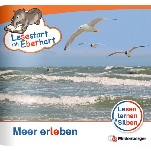 Stefanie Drecktrah - Drecktrah, S: Lesestart mit Eberhart - Meer erleben