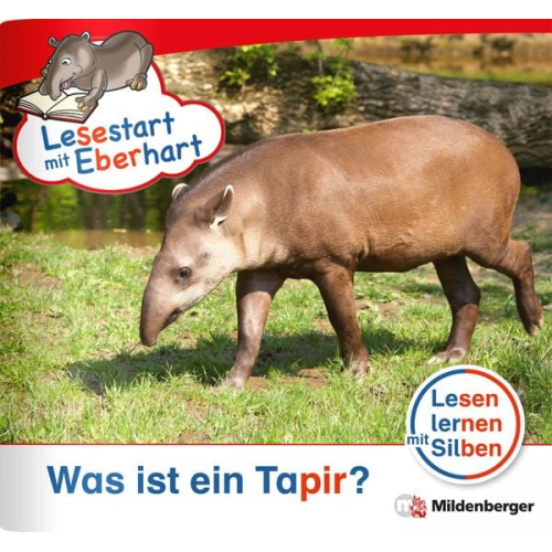 Stefanie Drecktrah - Drecktrah, S: Lesestart mit Eberhart - Was ist ein Tapir?